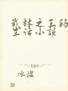 武林之王的退隐生活小说