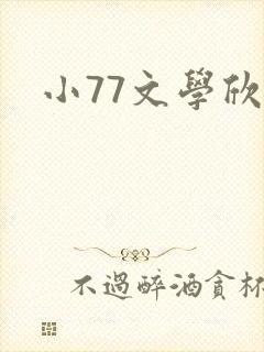 《小77文学欣赏》小说封面