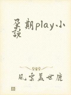 《孕期play小说》小说封面
