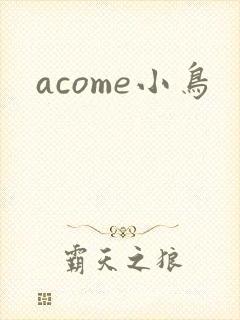 acome小鸟