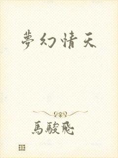 《梦幻情天》小说封面