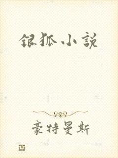 银狐小说封面