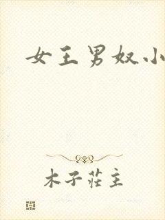 女王男奴小说