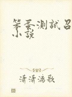 笨蛋测试召唤兽小说