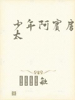 少年阿宾房东太太