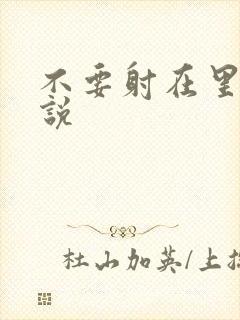 不要射在里面小说