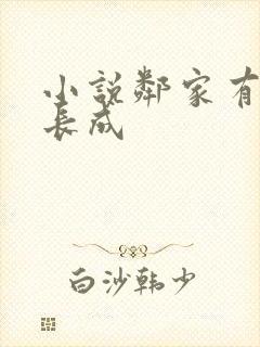 小说邻家有女初长成封面