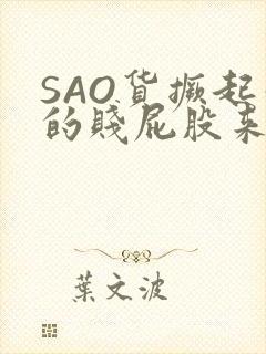 SAO货撅起你的贱屁股来