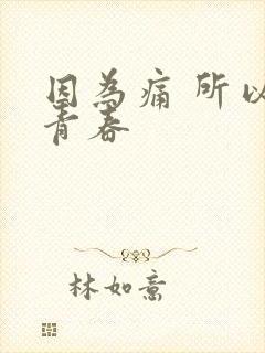 因为痛 所以叫青春