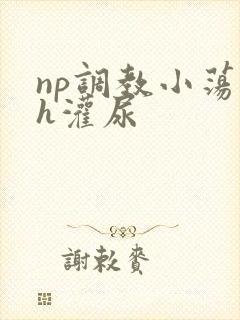 np调教小荡货h灌尿