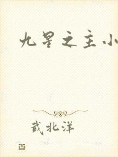 九星之主小说