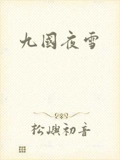 九国夜雪