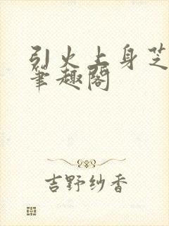 引火上身芝麻糖笔趣阁