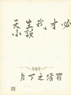 天生我才必有用小说