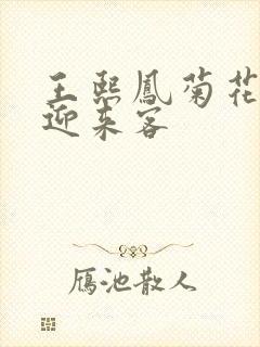 王熙凤菊花门初迎来客