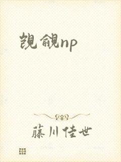 觊觎np