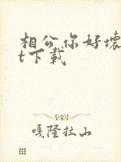 相公你好坏txt下载