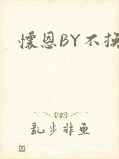 怀恩BY不换