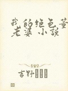 我的绝色董事长老婆 小说