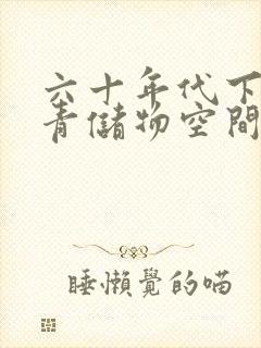 六十年代下乡知青储物空间