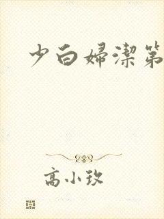 少白妇洁第二部