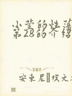 小莹的性荡生活第28的介绍