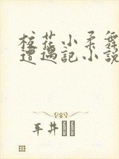 校花小柔舞蹈室遭遇记小说