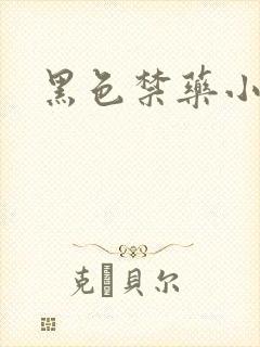 黑色禁药小说