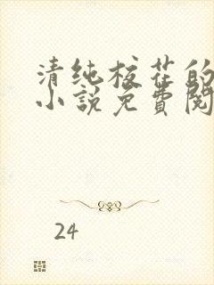 清纯校花的秘密小说免费阅读