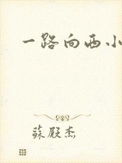 一路向西小说