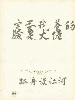 完蛋我养的小白脸是大佬