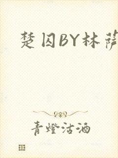 楚囚BY林萨