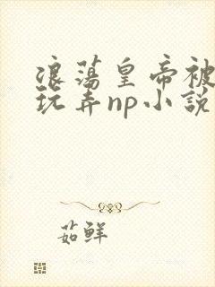 浪荡皇帝被多人玩弄np小说