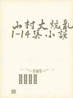 山村大炕乱肉续1-14集小说