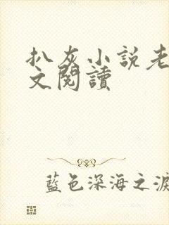 扒灰小说老马全文阅读