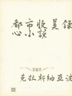 都市收美录宁素心小说