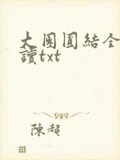 大团圆结全文阅读txt