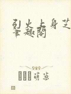 引火上身芝麻糖笔趣阁