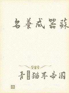 名养成器苏沫沫