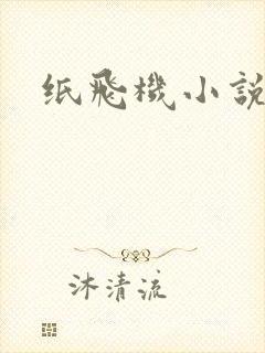 纸飞机小说