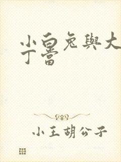 小白兔与大灰狼丁当