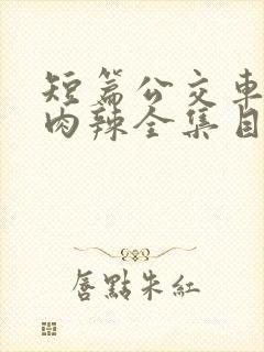 短篇公交车高h肉辣全集目录