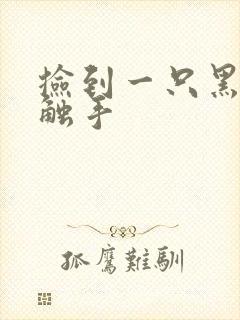 捡到一只黑心小触手