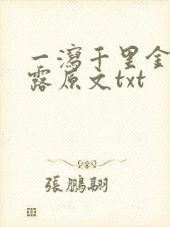 一泻千里金银花露原文txt