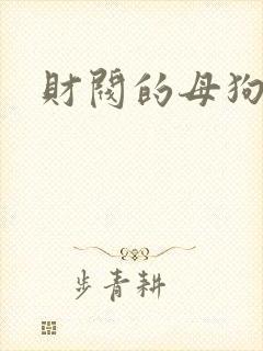 财阀的母狗们