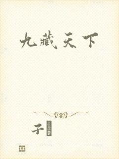 九藏天下