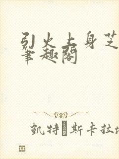 引火上身芝麻糖笔趣阁