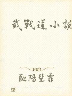武战道小说