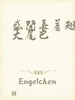 盛开长着翅膀的大尾巴