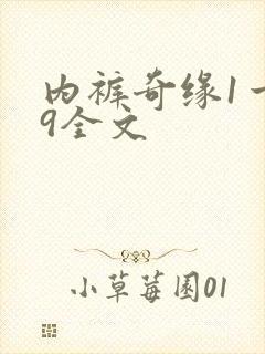 内裤奇缘1一39全文